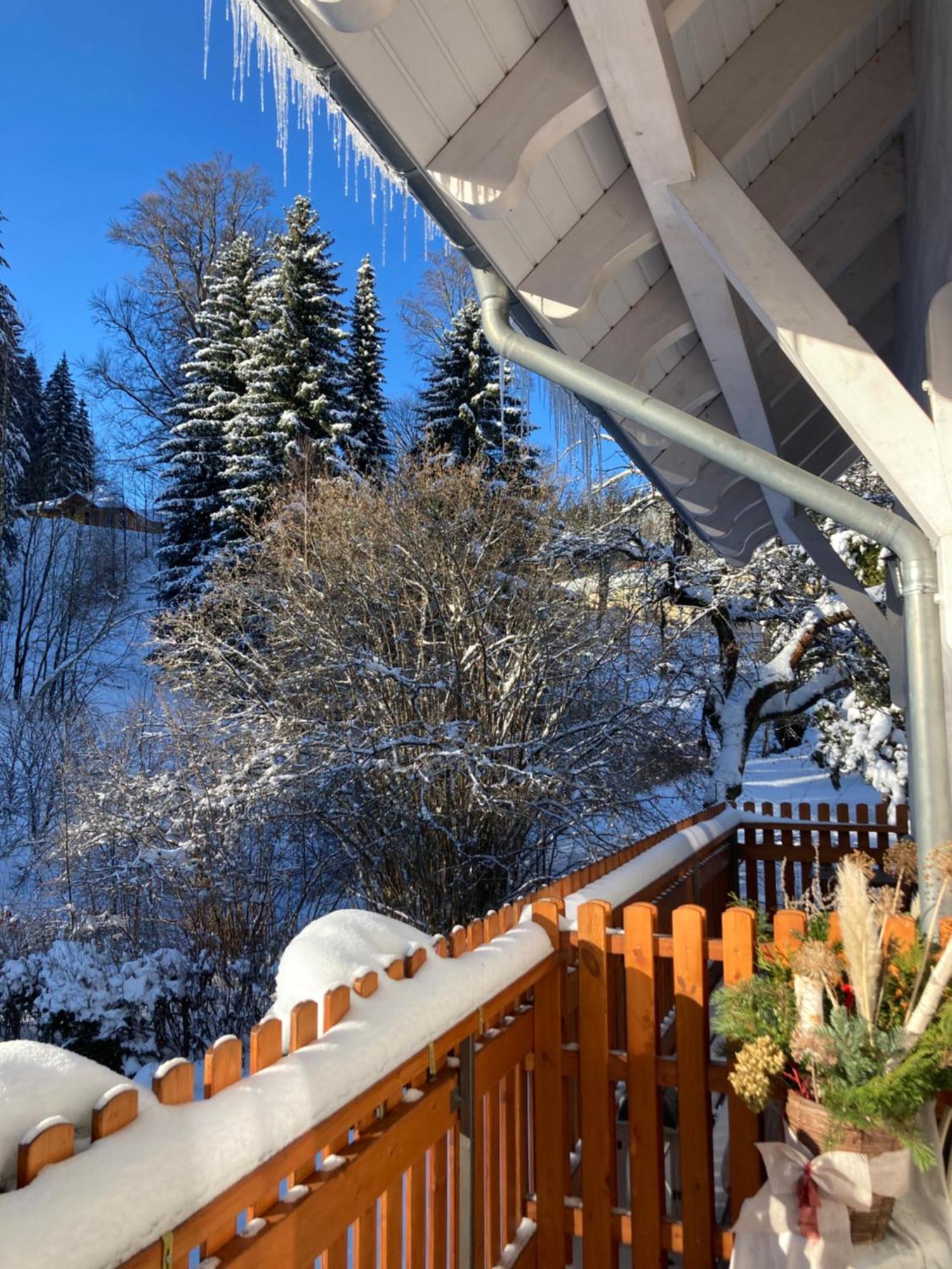 Villa Jana Janske Lazne Luaran gambar